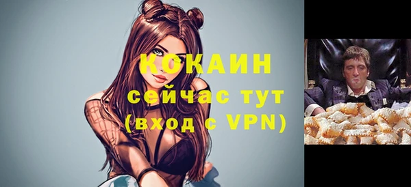 дживик Бородино