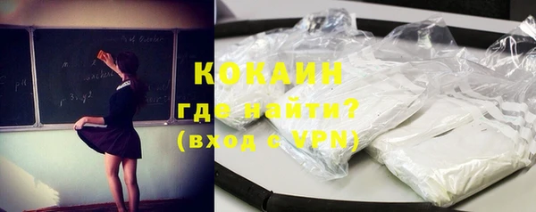 дживик Бородино