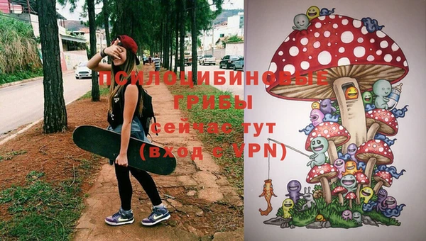 дживик Бородино