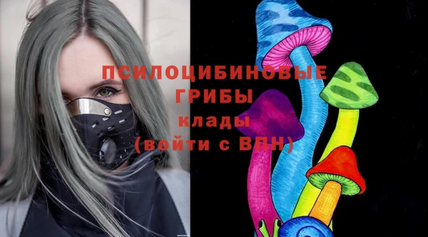 дживик Бородино
