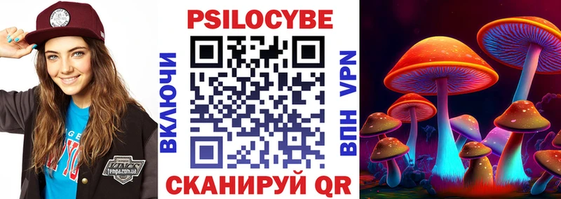 Купить закладки  Наро-Фоминск  Псилоцибиновые грибы GOLDEN TEACHER 